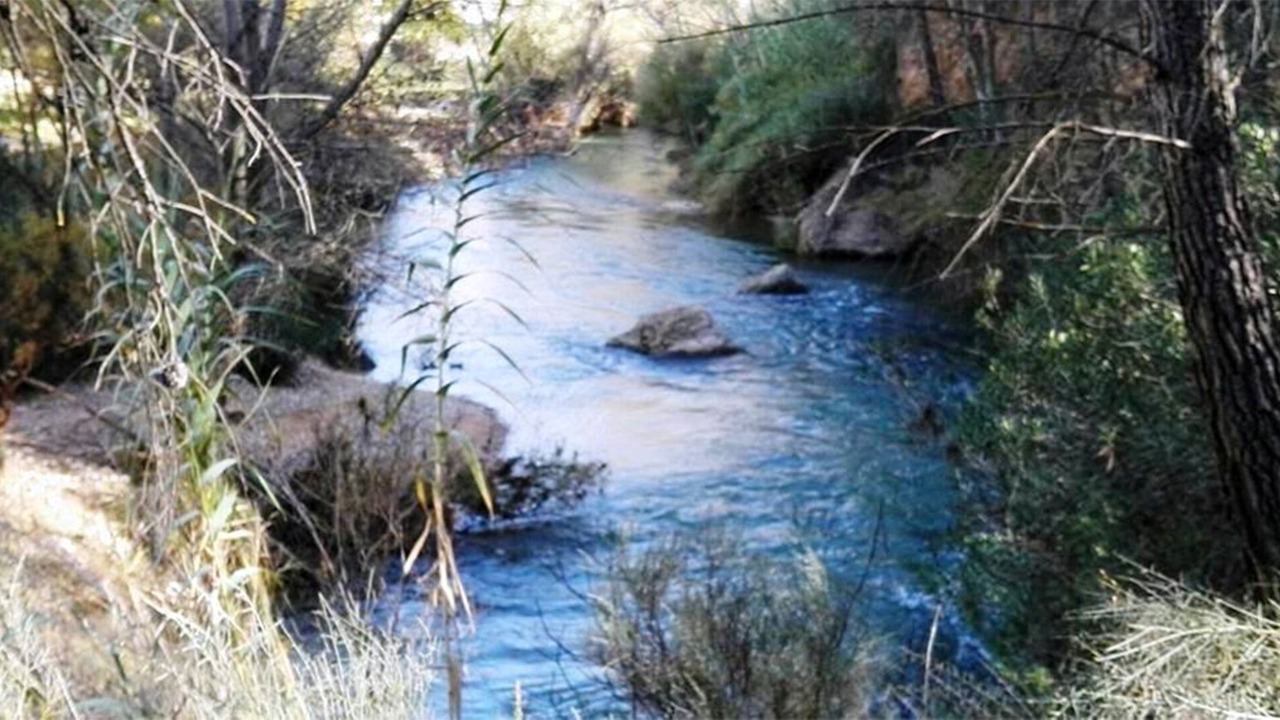 Photo of Others in Elche De La Sierra