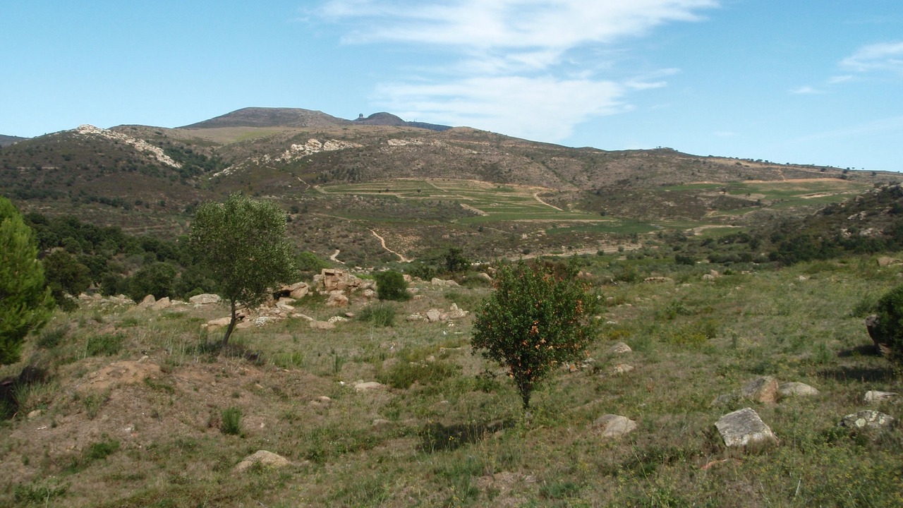 Photo of Outdoor in Almadraba-Canyelles