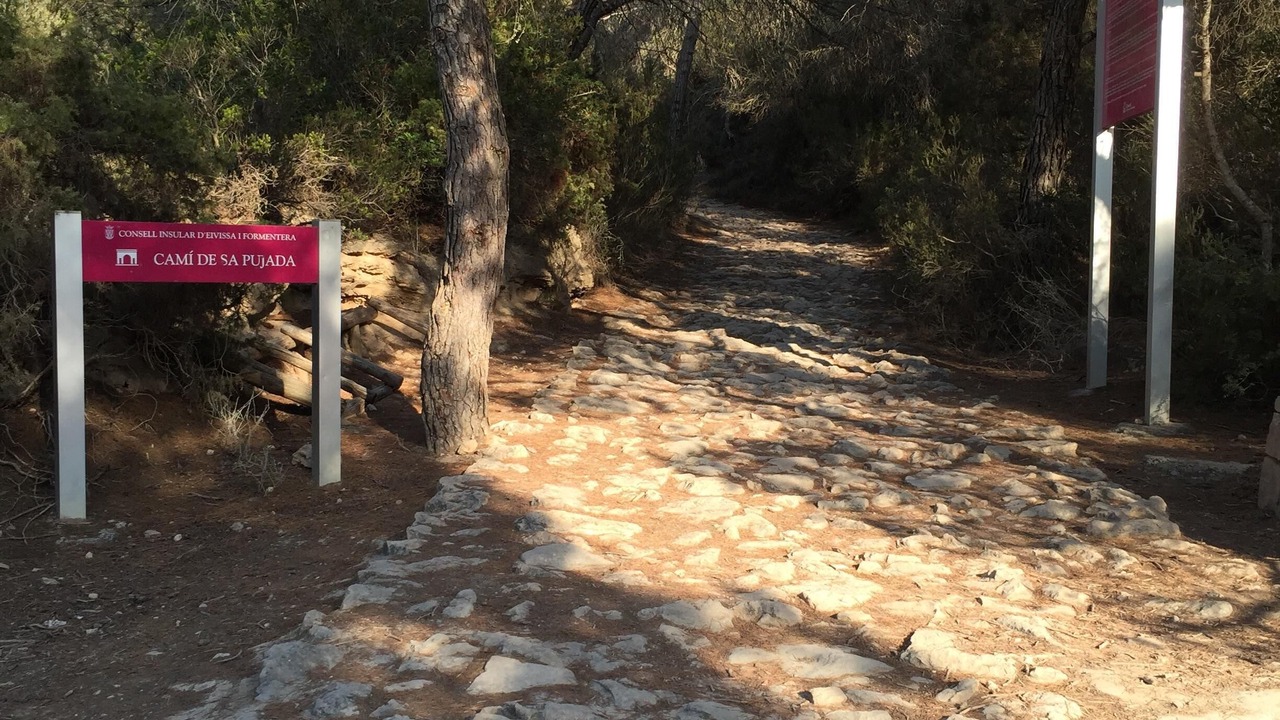 Photo of Outdoor in Es Pujols