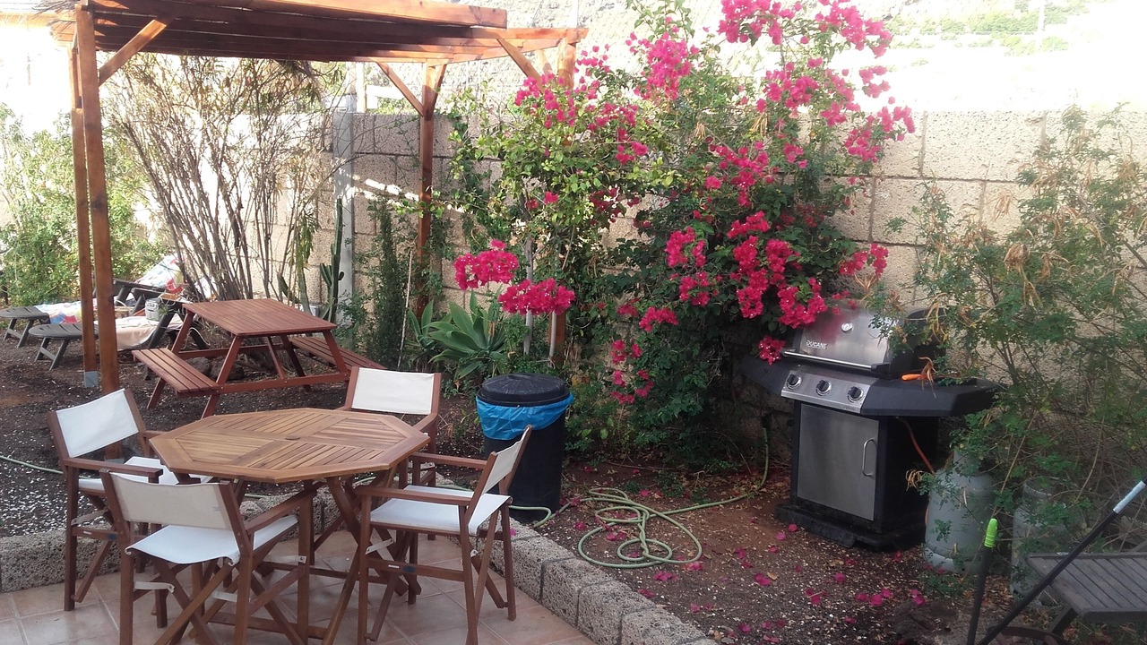 Photo of Outdoor in Candelaria