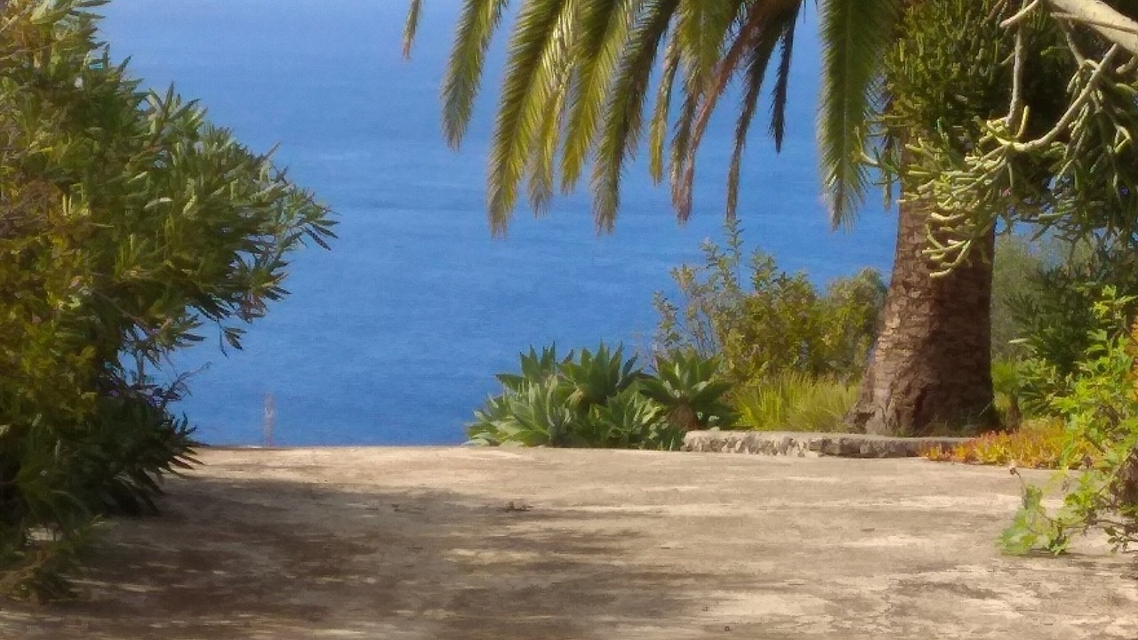 Photo of Outdoor in Tijarafe