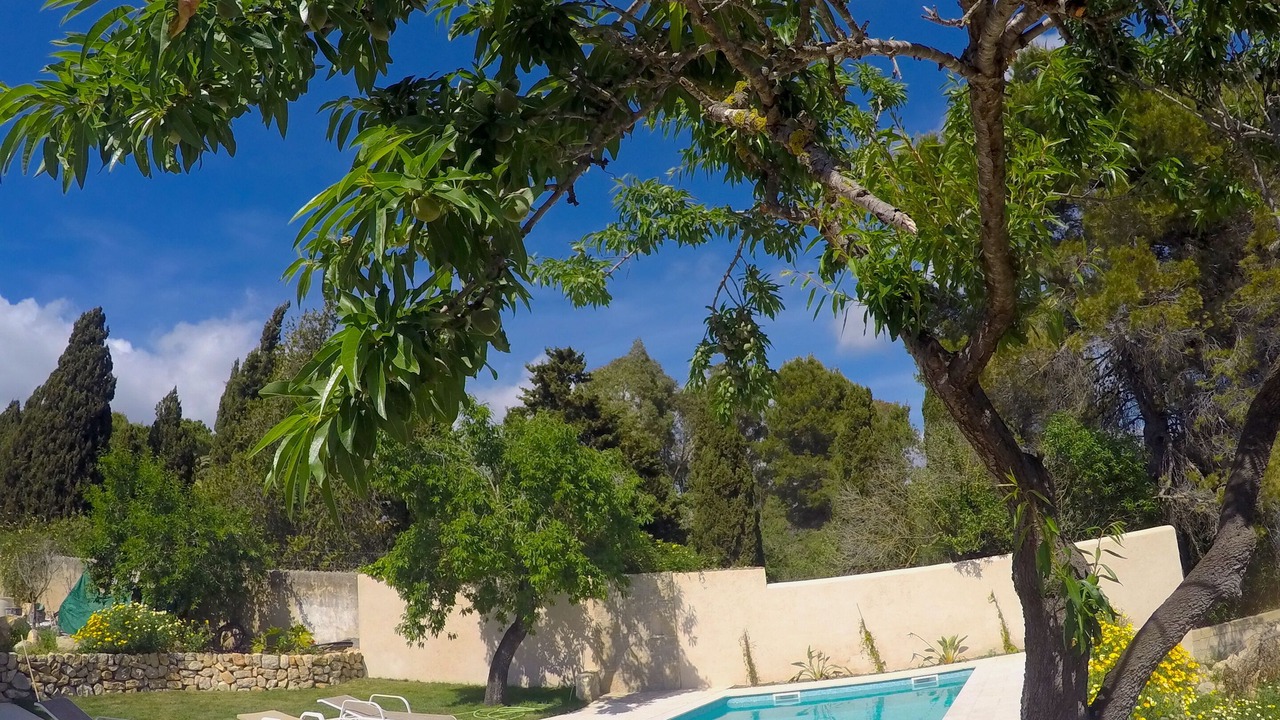 Photo of Outdoor in Es Capdella
