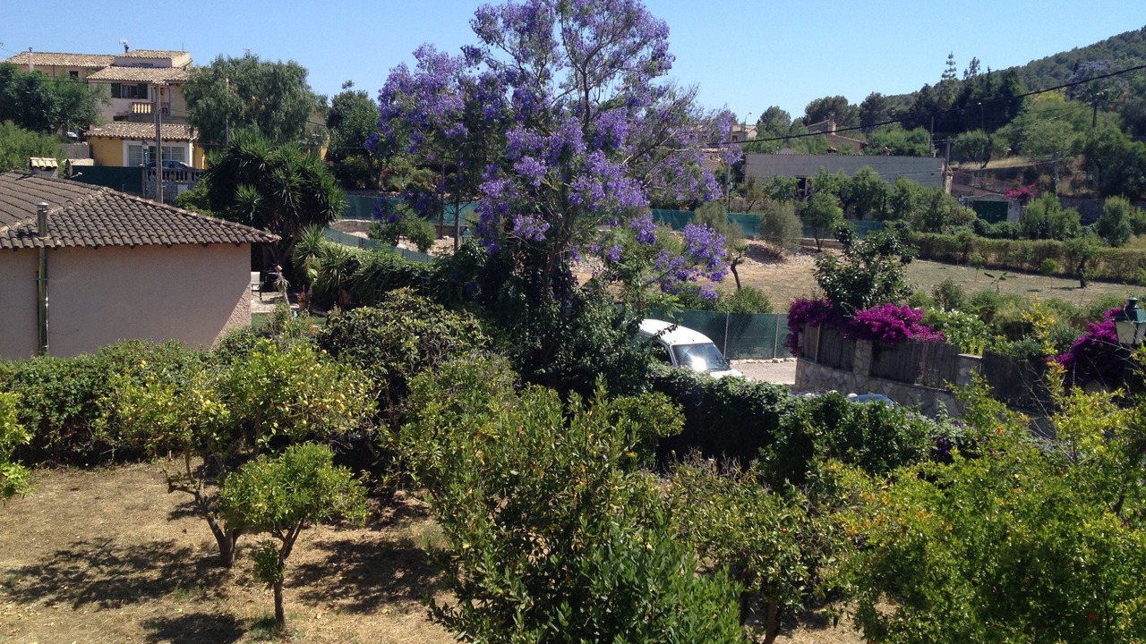 Photo of Outdoor in Es Capdella
