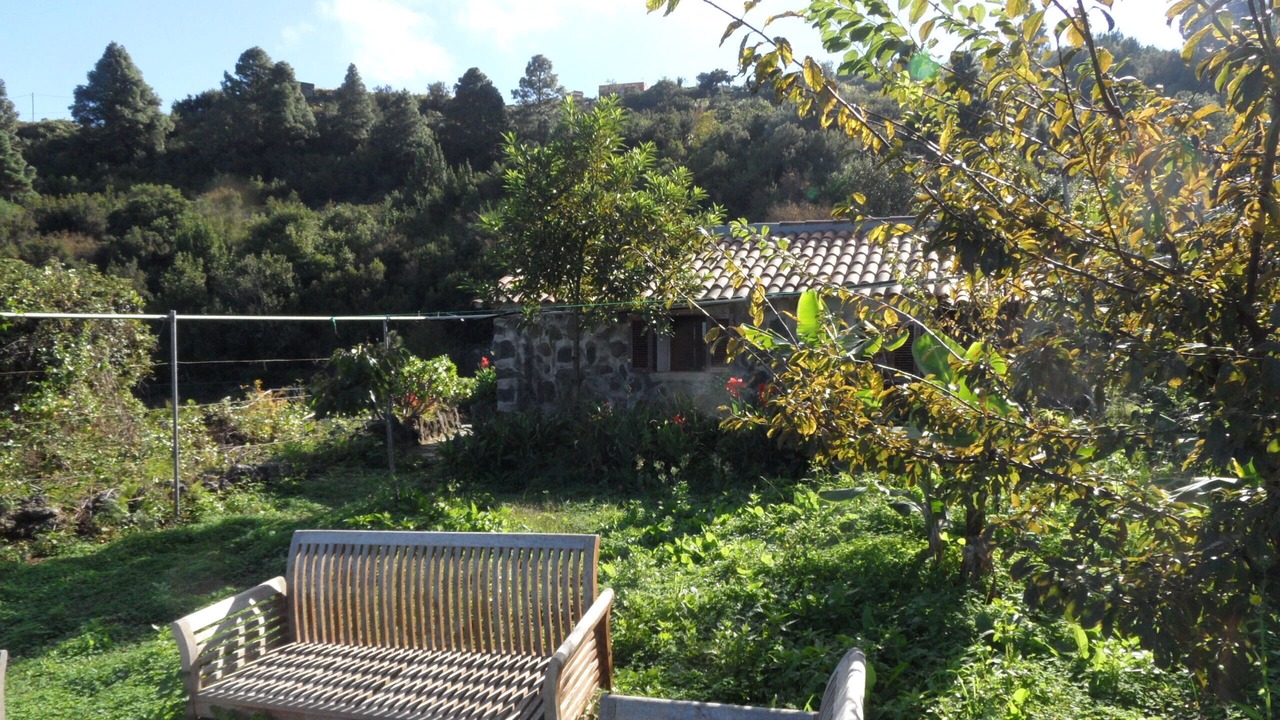 Photo of Outdoor in Cueva del Viento
