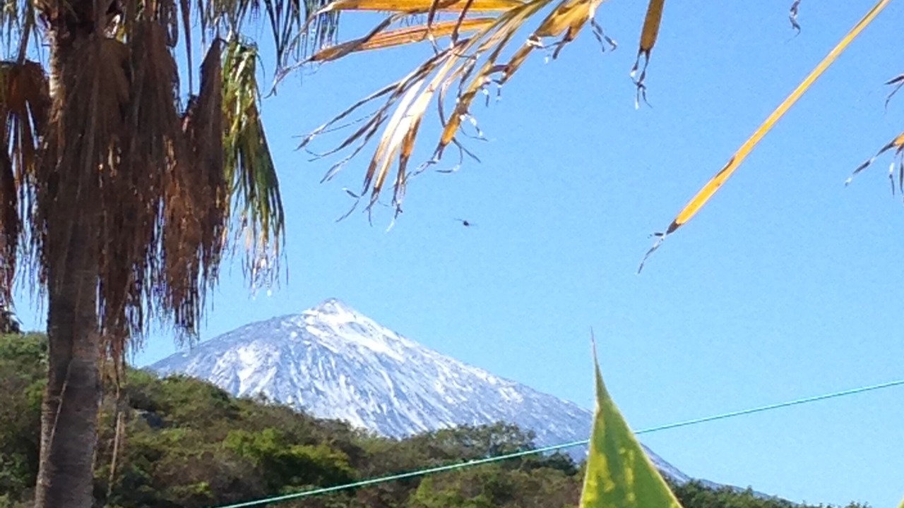 Photo of Outdoor in Sauzal