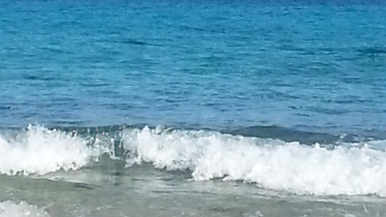Photo of Others in Formentera