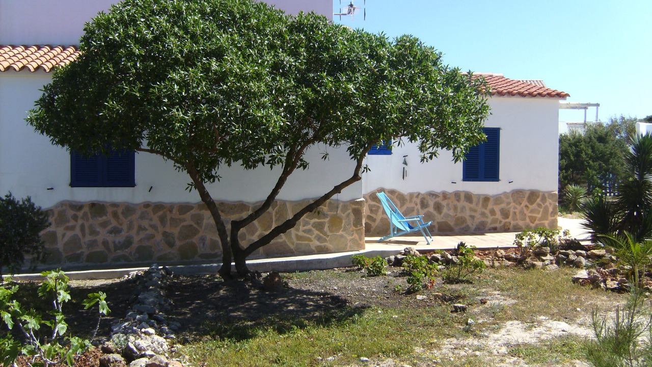 Photo of Outdoor in Formentera