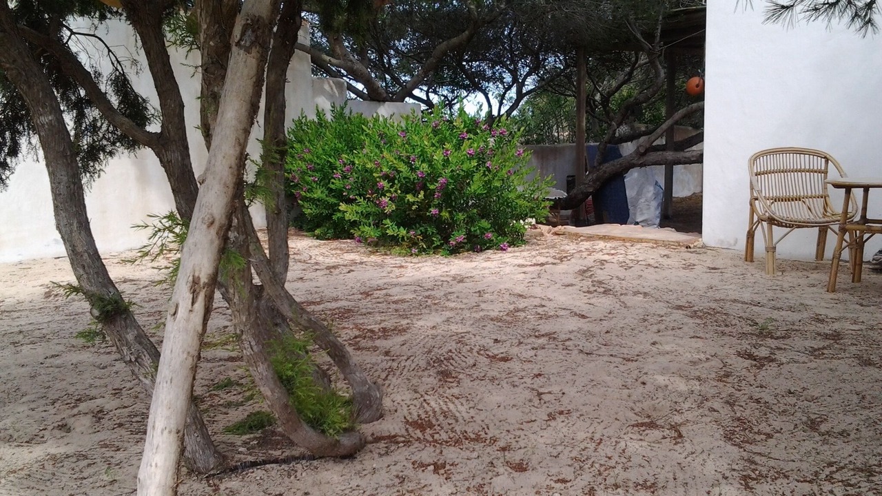 Photo of Patio Balcony in Formentera