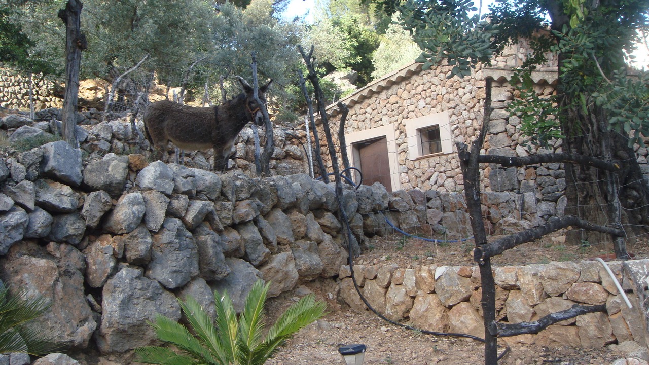 Photo of Outdoor in Fornalutx