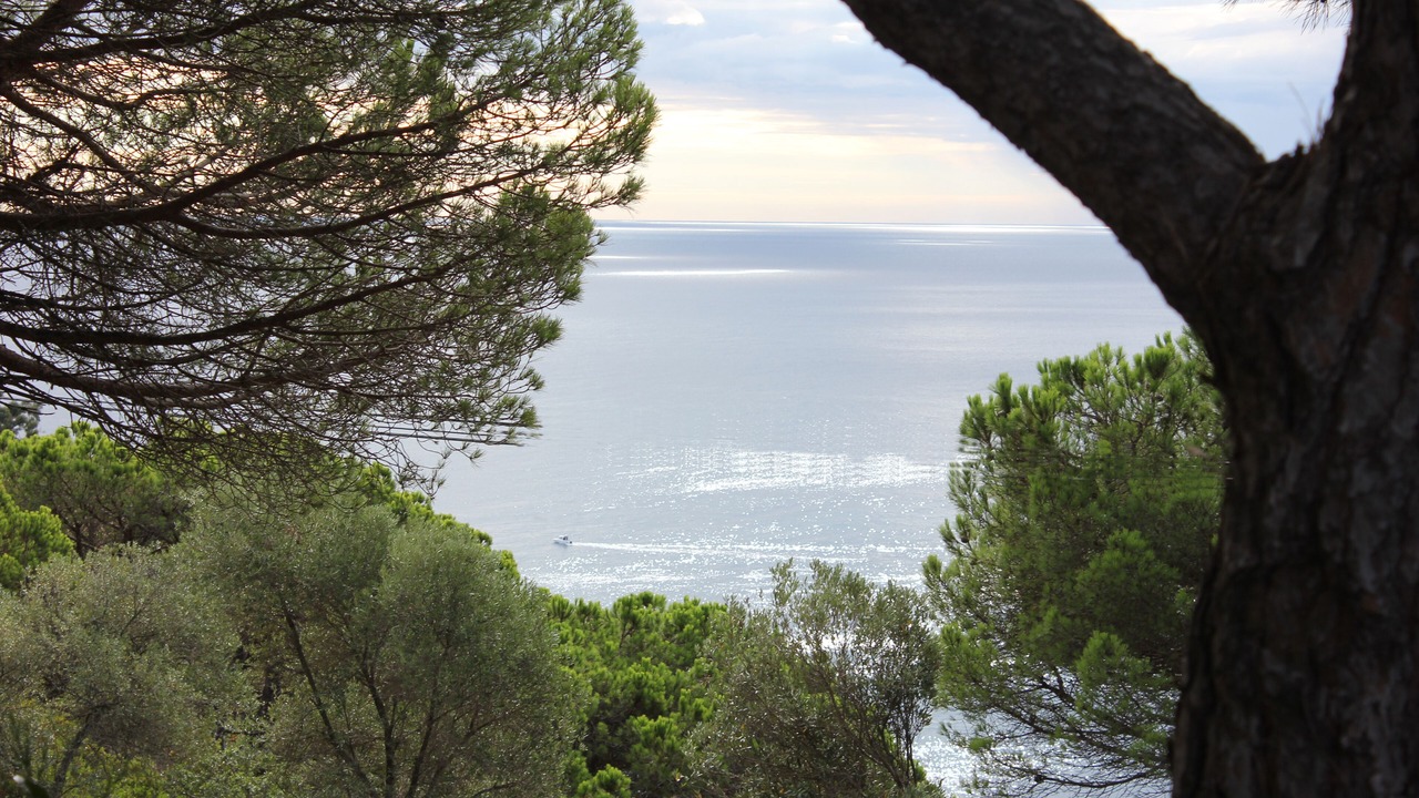 Photo of Others in Sant Feliu de Guixols