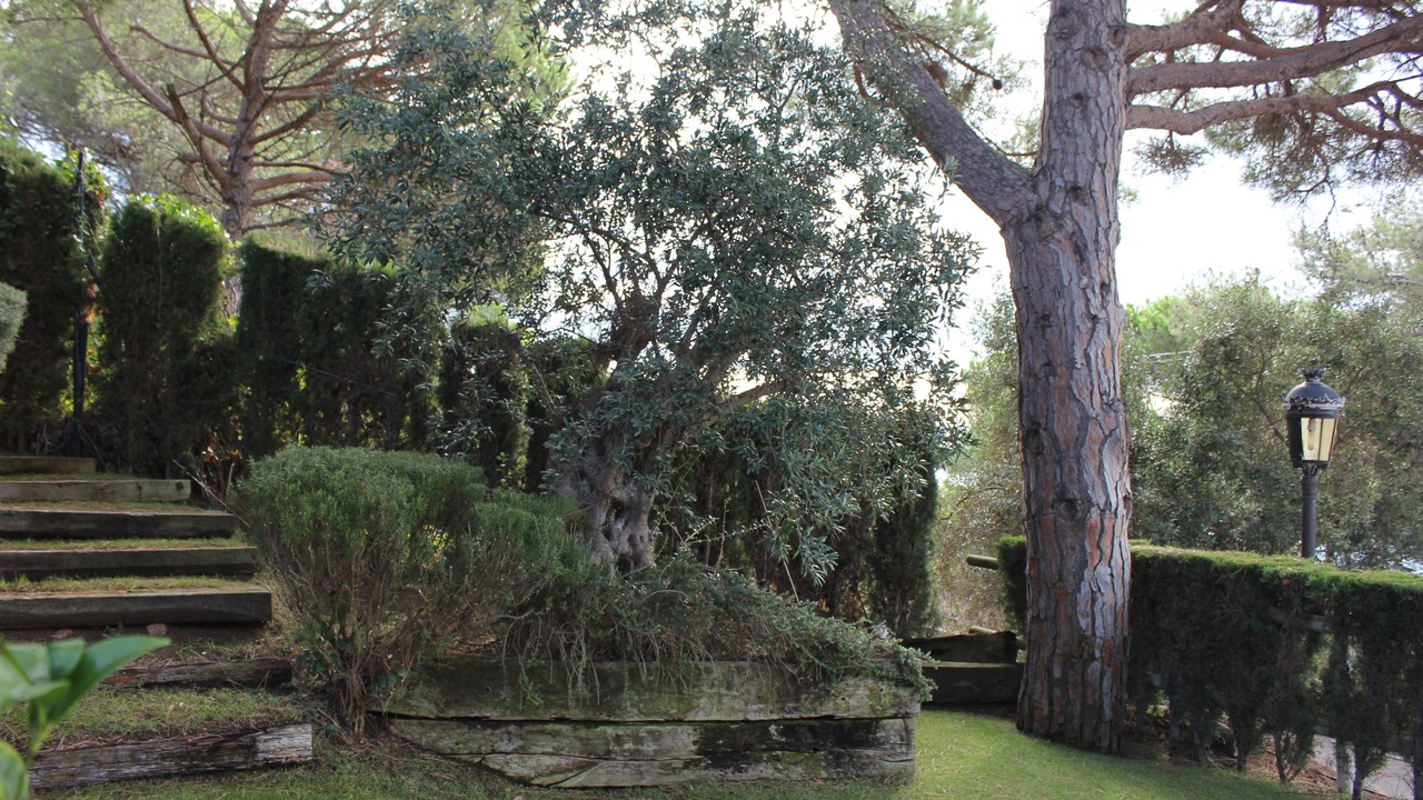 Photo of Outdoor in Sant Feliu de Guixols