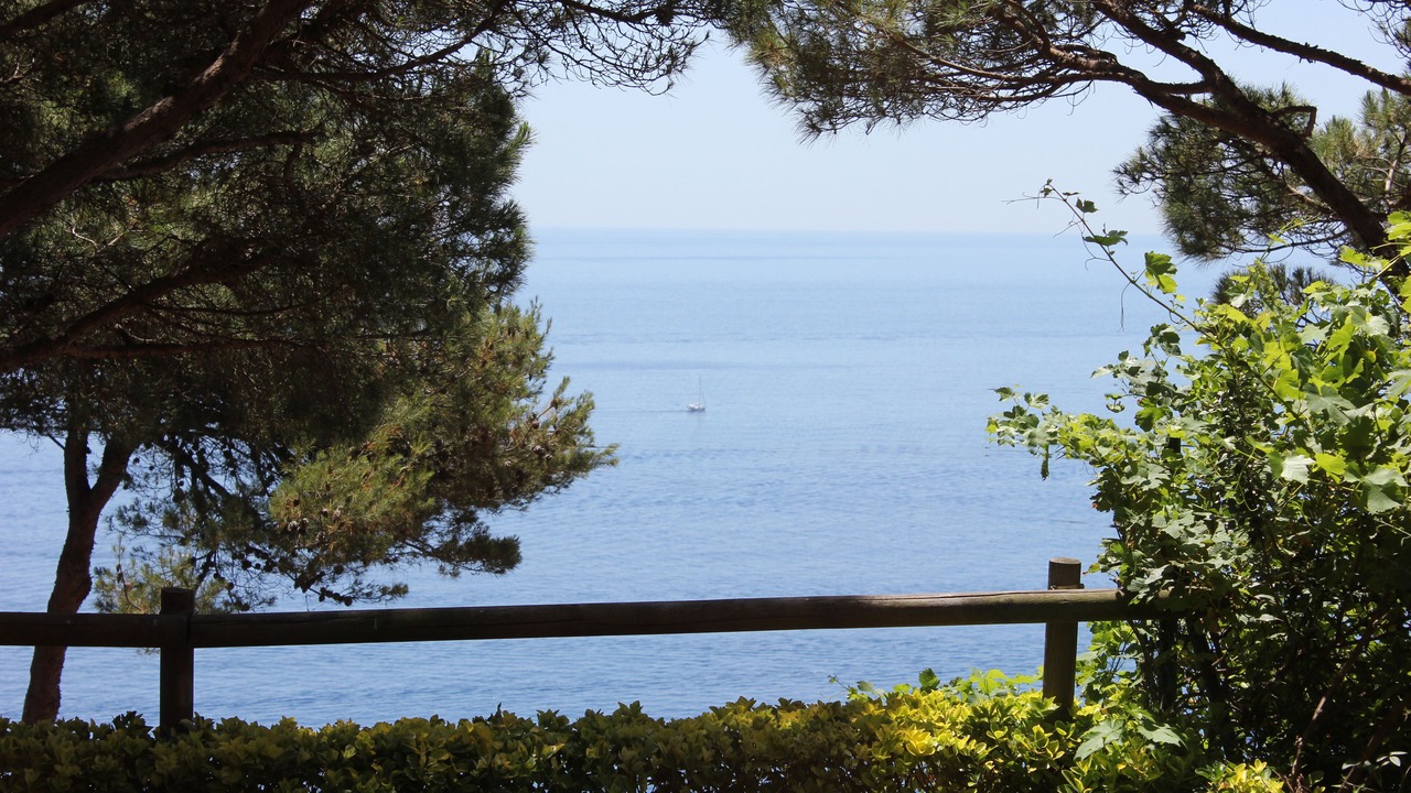 Photo of Others in Sant Feliu de Guixols