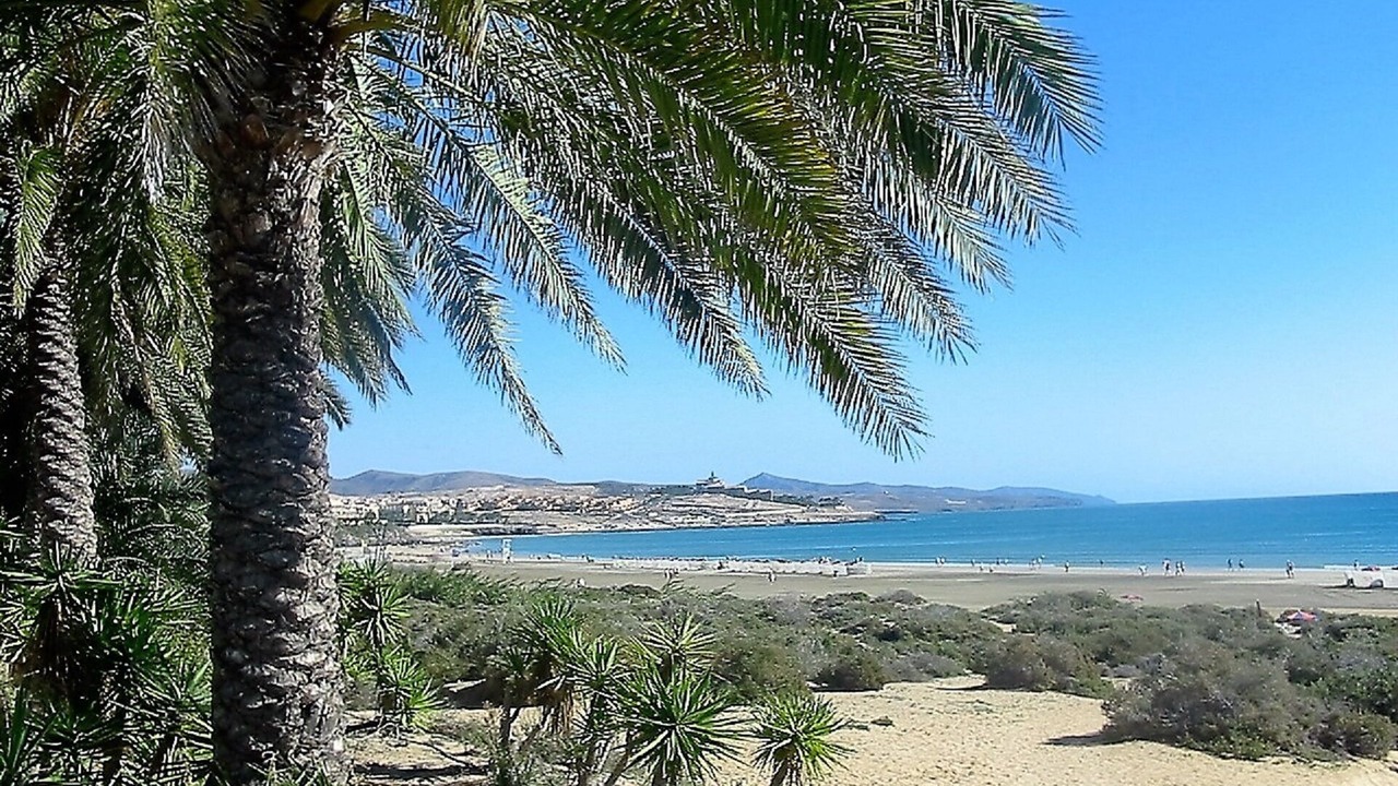 Photo of Others in Bahia Calma
