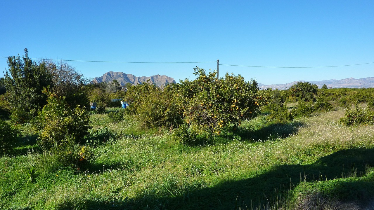 Photo of Outdoor in Formentera de Segura
