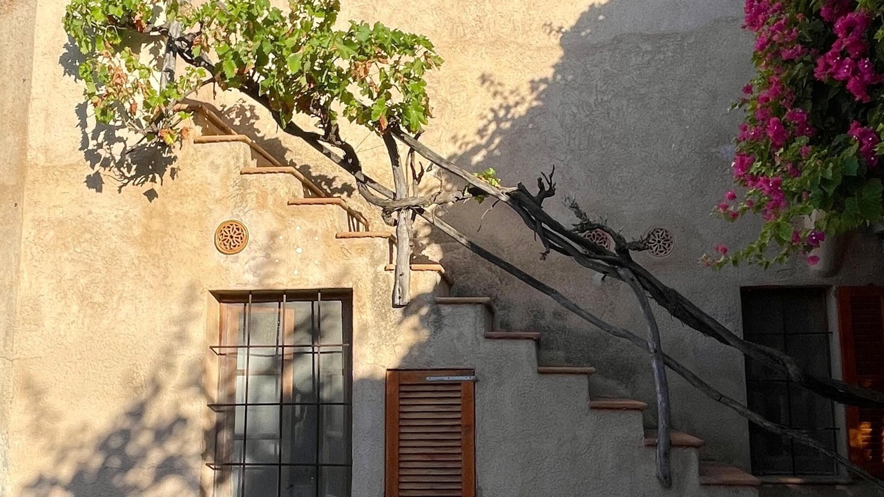 Photo of Outdoor in Santanyi