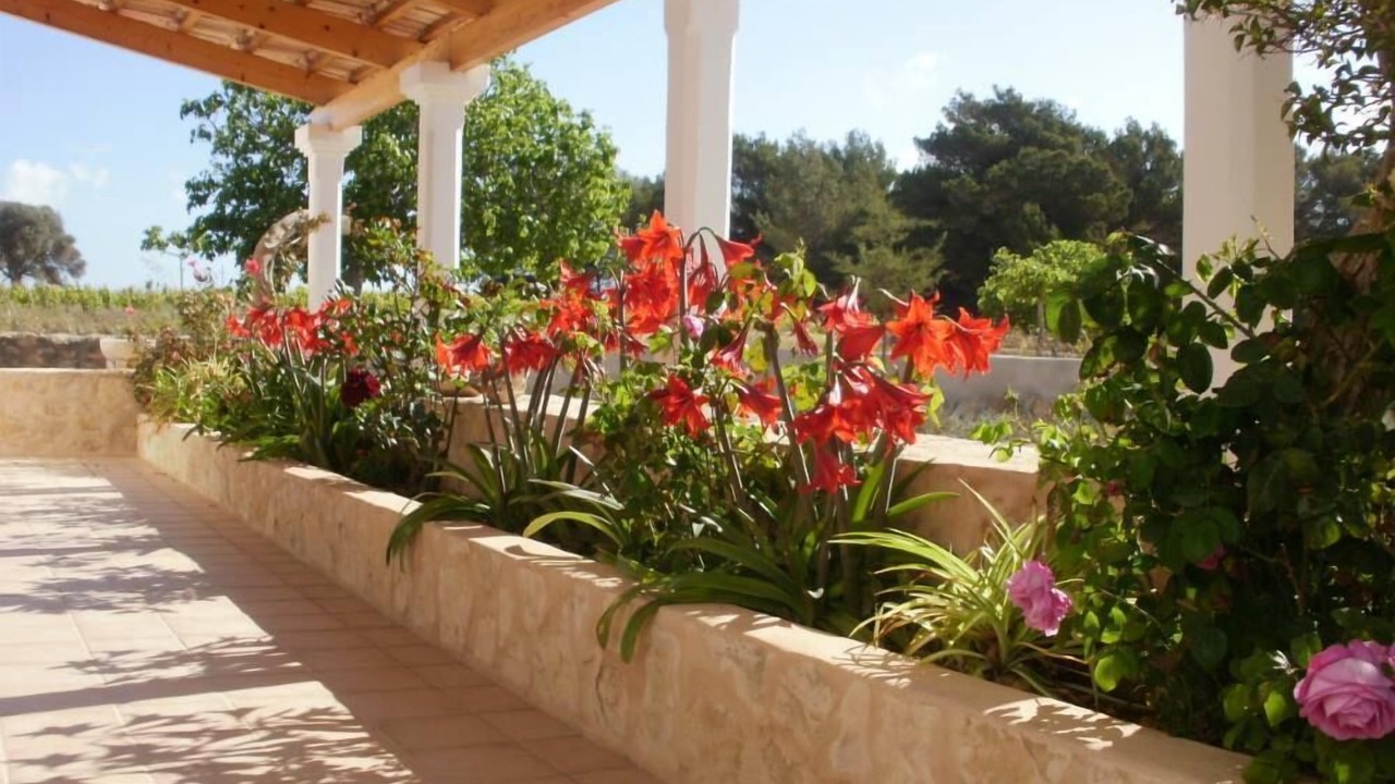 Photo of Outdoor in Formentera