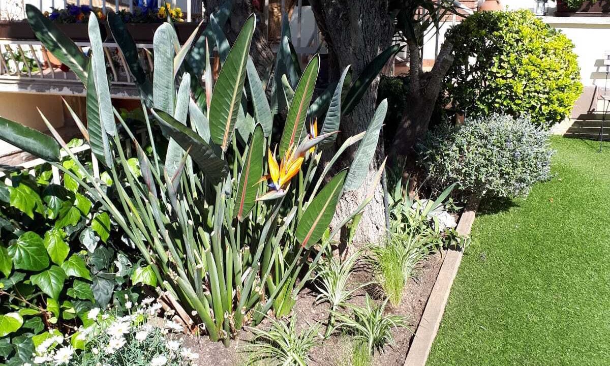 Photo of Outdoor in Premia de Dalt