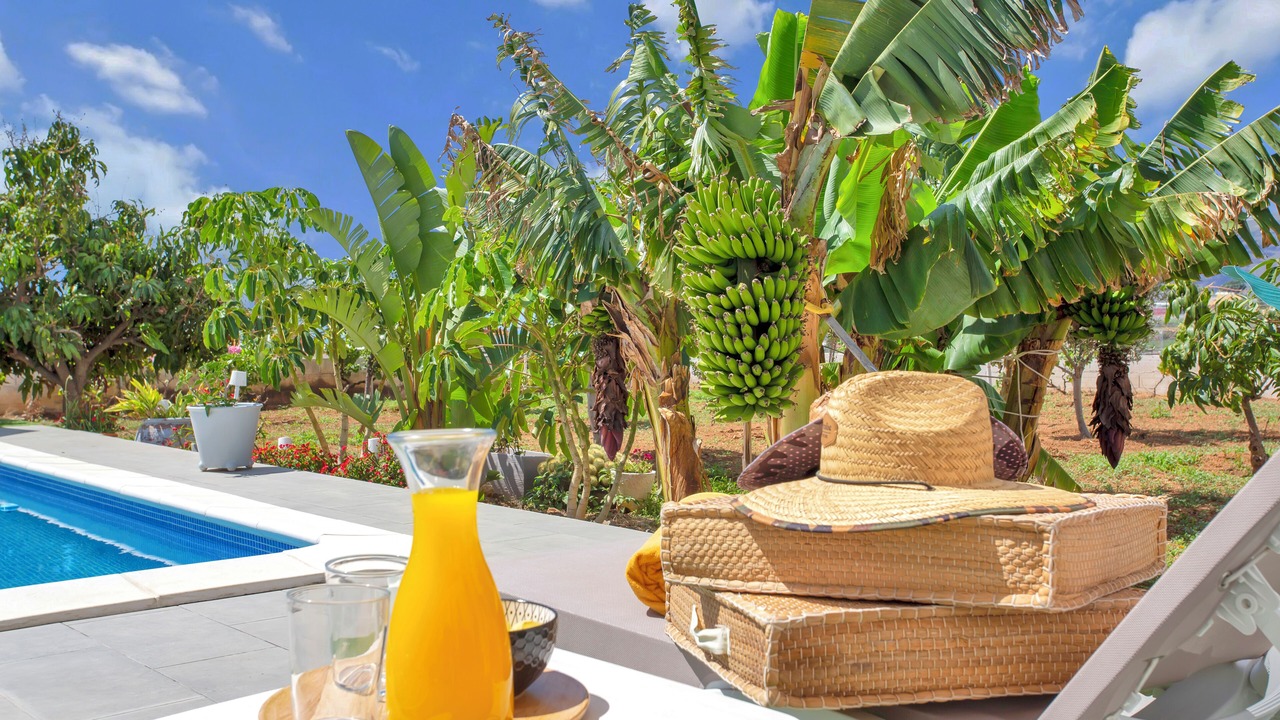 Photo of Outdoor in Arafo