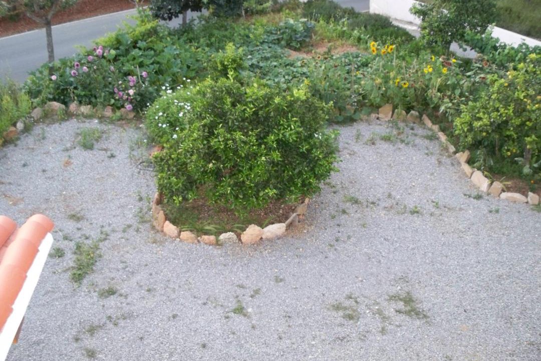 Photo of Outdoor in Es Figueral Beach
