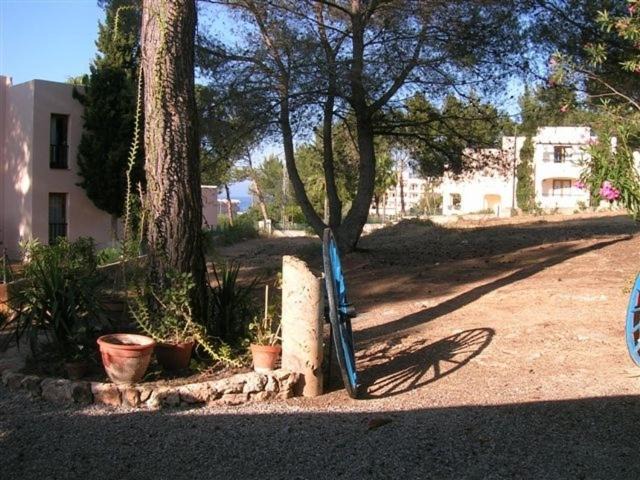 Photo of Others in Es Figueral Beach