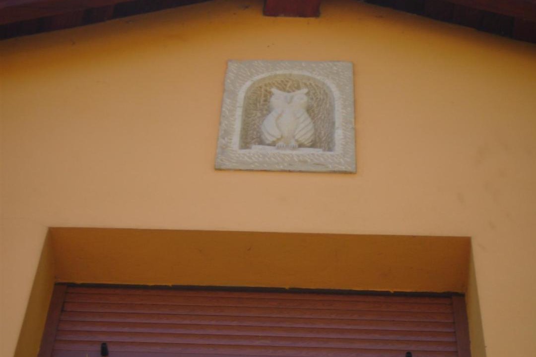 Photo of Others in Cabranes Municipality