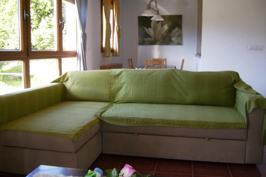 Photo of Livingroom in Cabranes Municipality