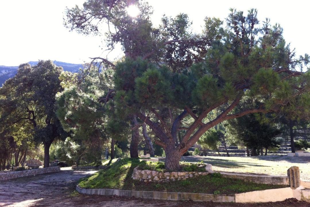 Photo of Others in Alcoy