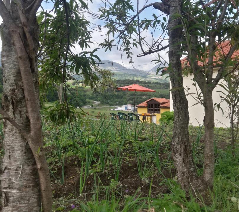 Photo of Outdoor in Penamellera Baja