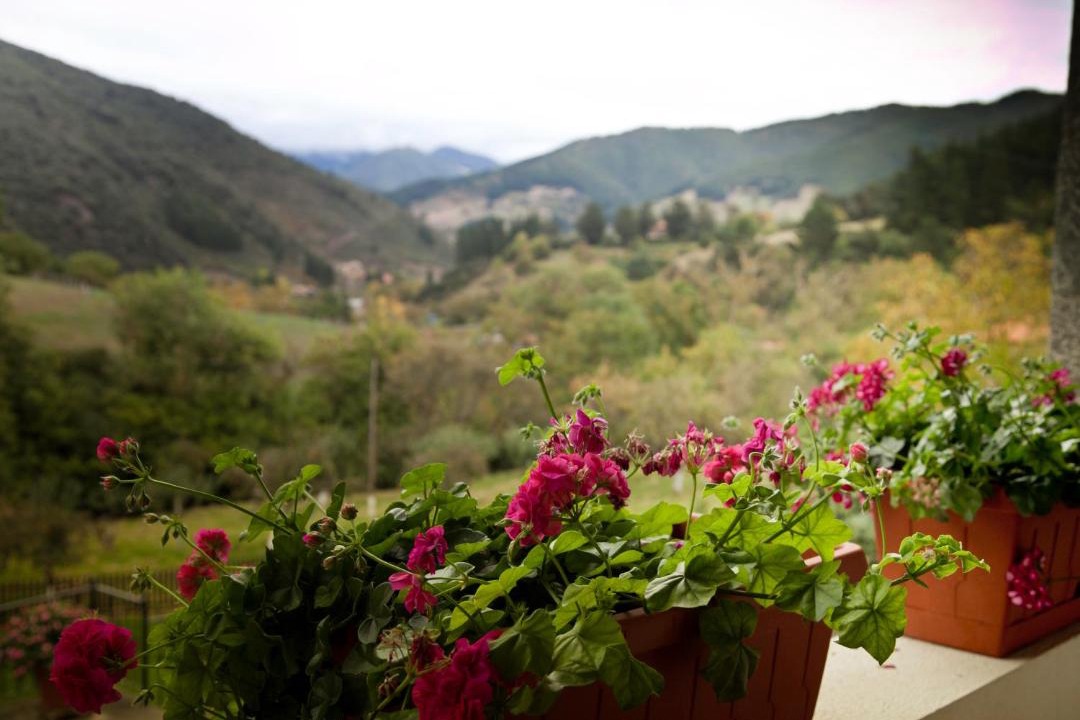 Photo of Patio Balcony in Turieno