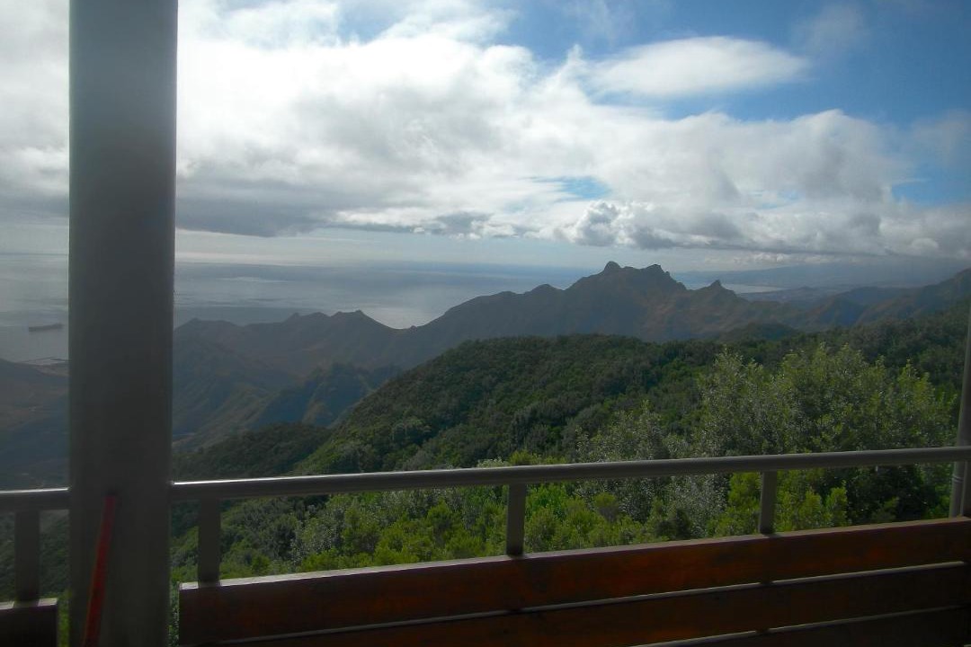 Photo of Others in Santa Cruz de Tenerife
