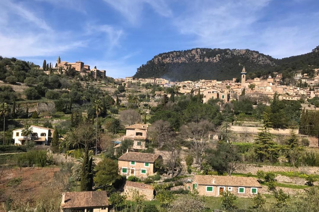 Photo of Others in Valldemossa
