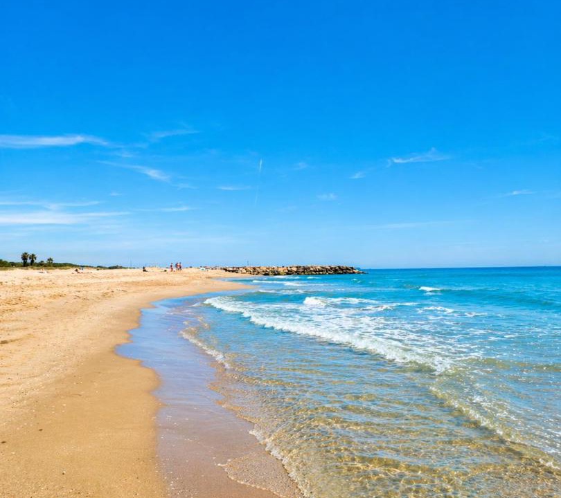 Photo of Others in Gava