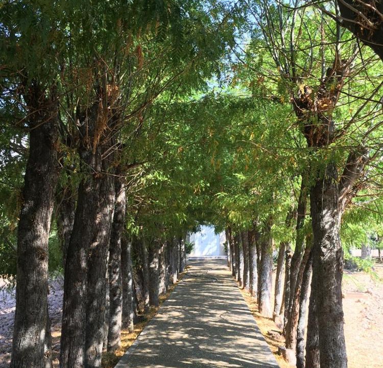 Photo of Outdoor in Agoncillo