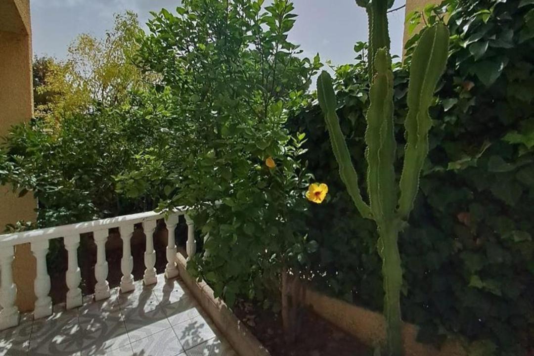 Photo of Others in San Fulgencio