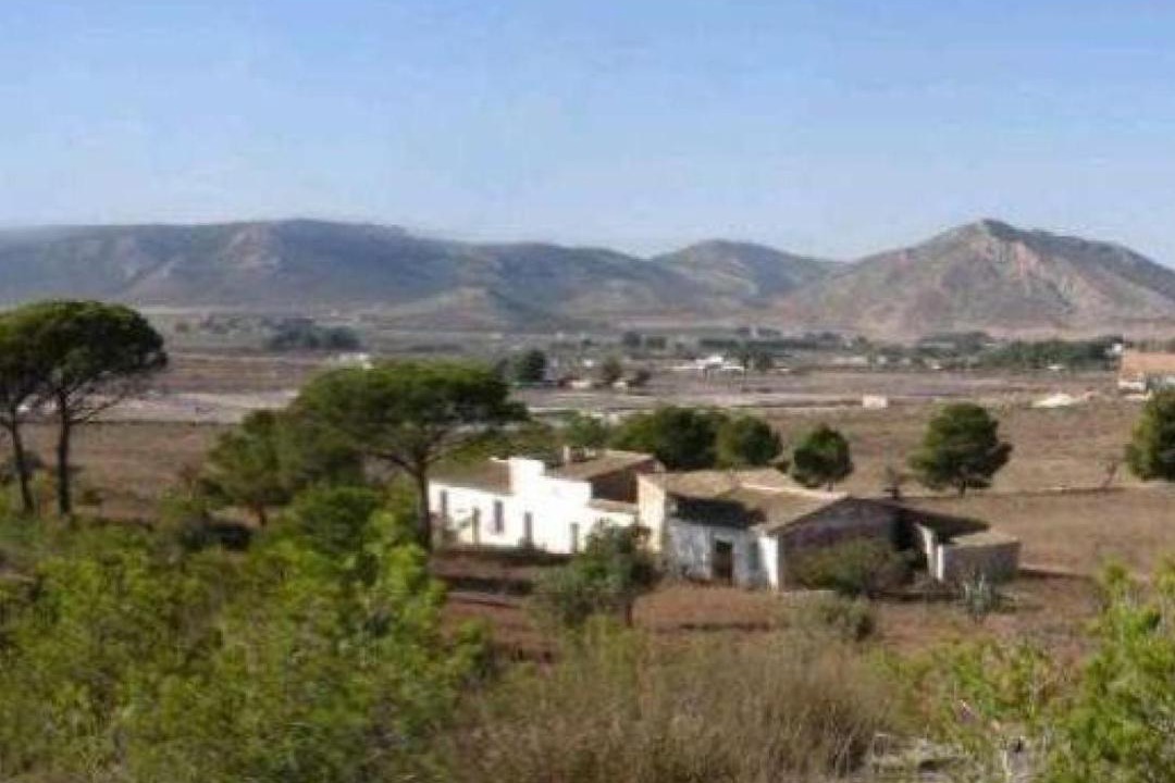 Photo of Others in Villena