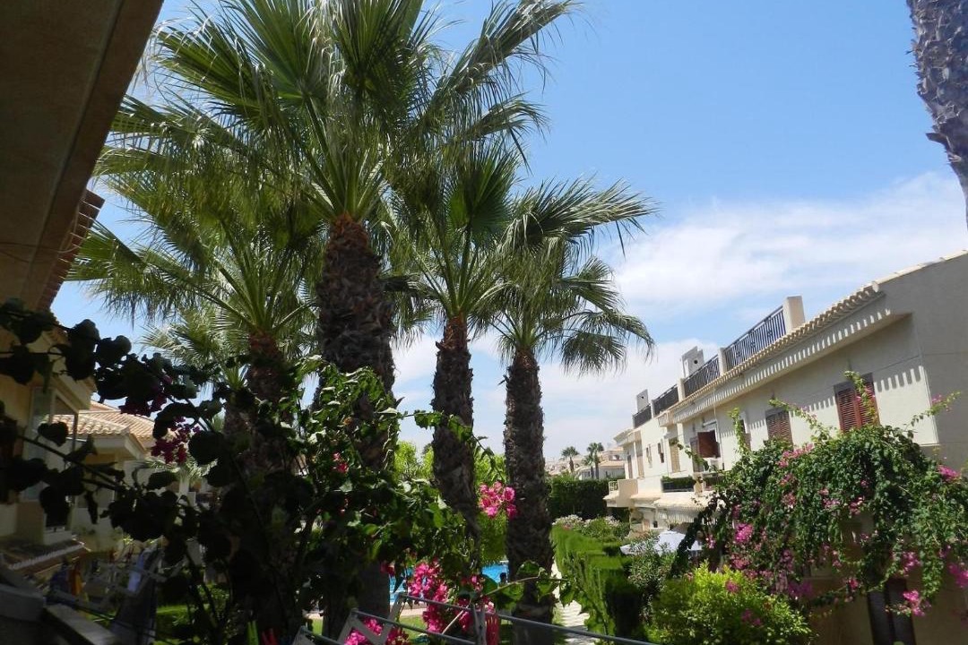Photo of Others in Playa Flamenca