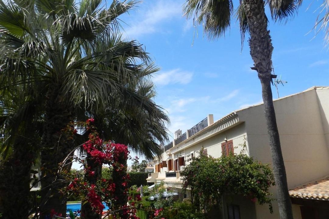 Photo of Others in Playa Flamenca