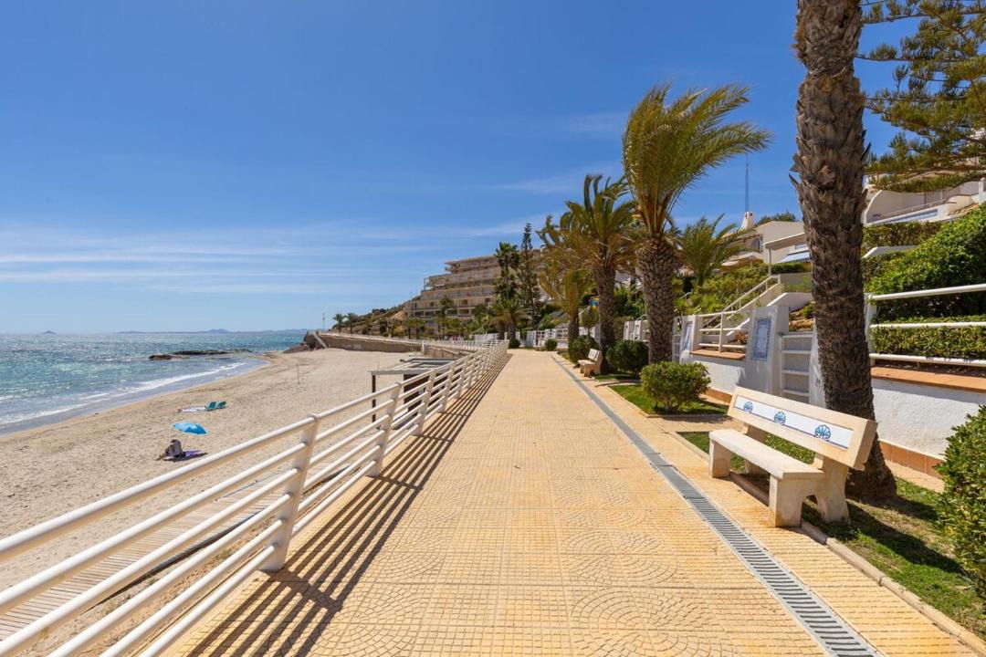 Photo of Others in Dehesa de Campoamor