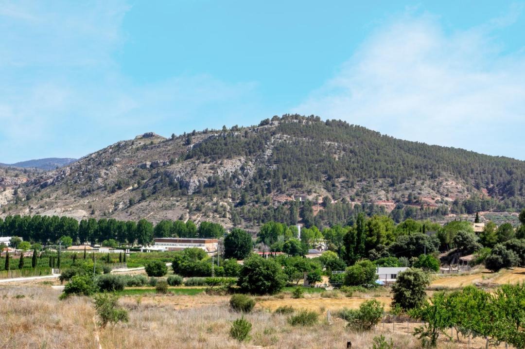 Photo of Others in Caravaca de la Cruz