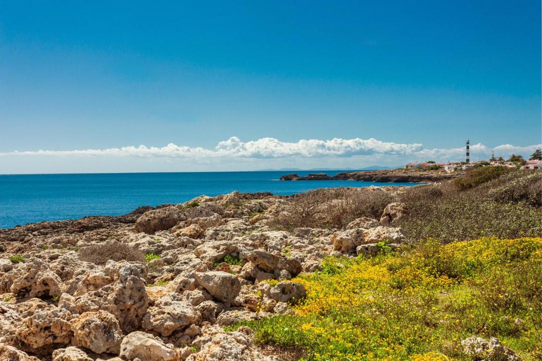 Photo of Others in Cala'n Bosch