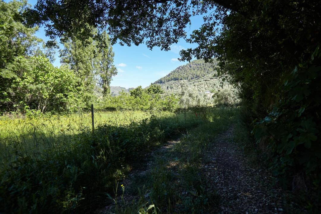Photo of Others in Beas de Segura