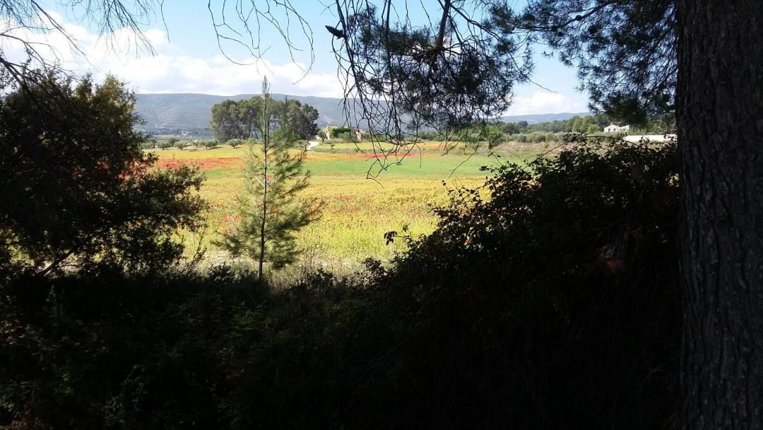 Photo of Others in Ontinyent