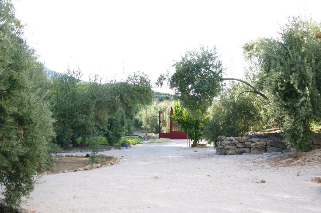 Photo of Others in Bedmar y Garciez