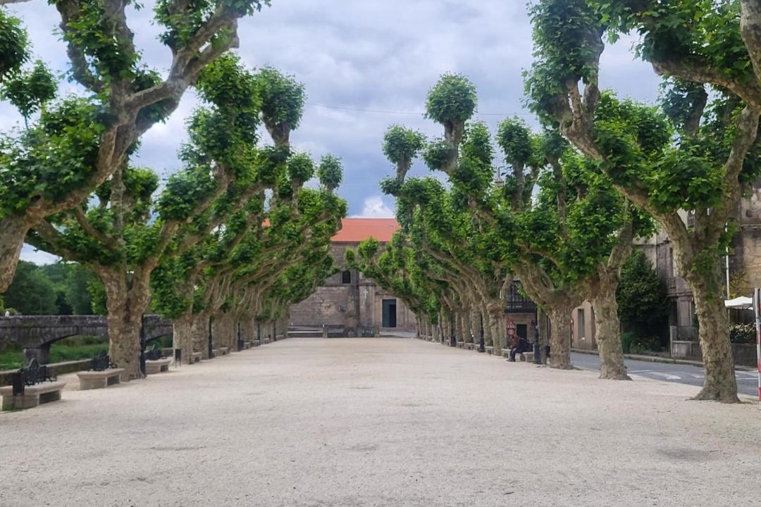Photo of Others in Padron