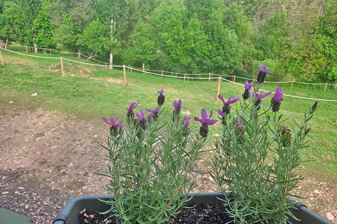 Photo of Outdoor in Castiello de Jaca