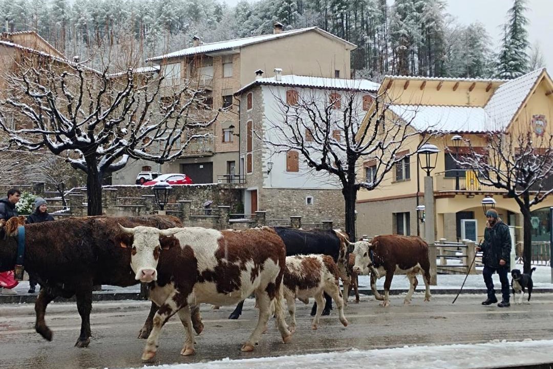 Photo of Others in La Pobla de Lillet