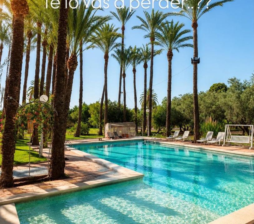 Photo of Others in Elche