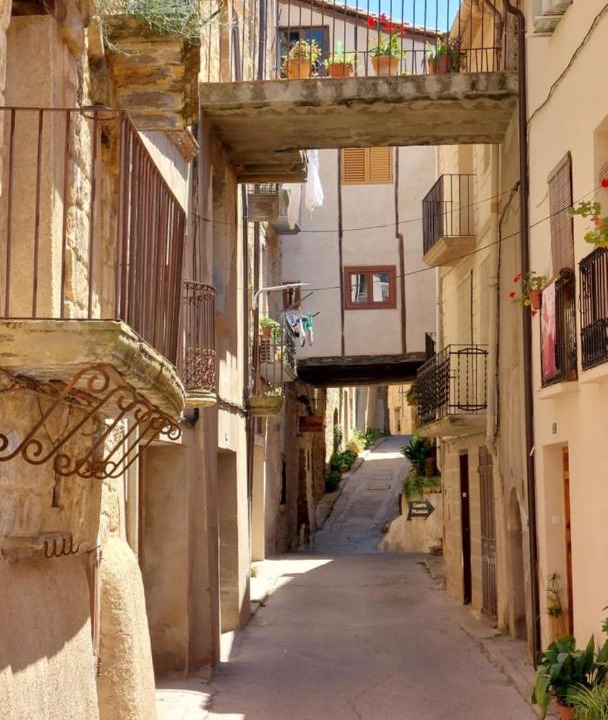 Photo of Others in Horta de Sant Joan