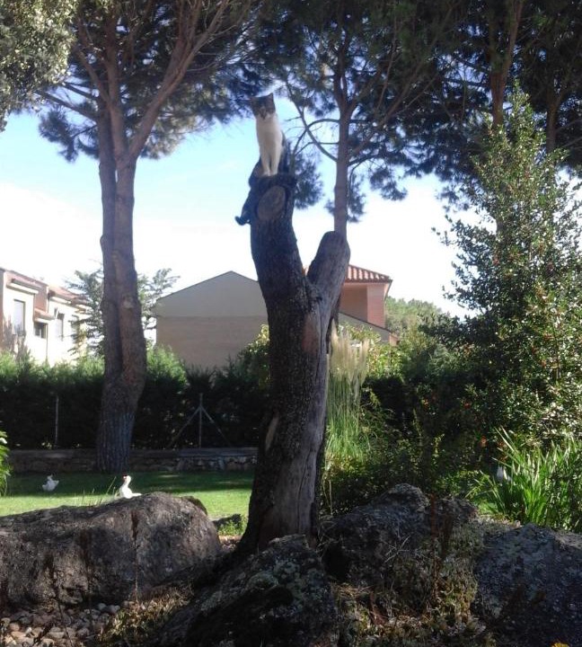 Photo of Others in Ortigosa del Monte