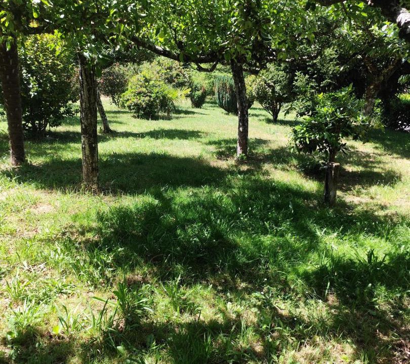 Photo of Others in Arenteiro